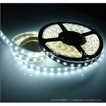 DC24V 5630 70LEDs / M Bande LED à courant constant